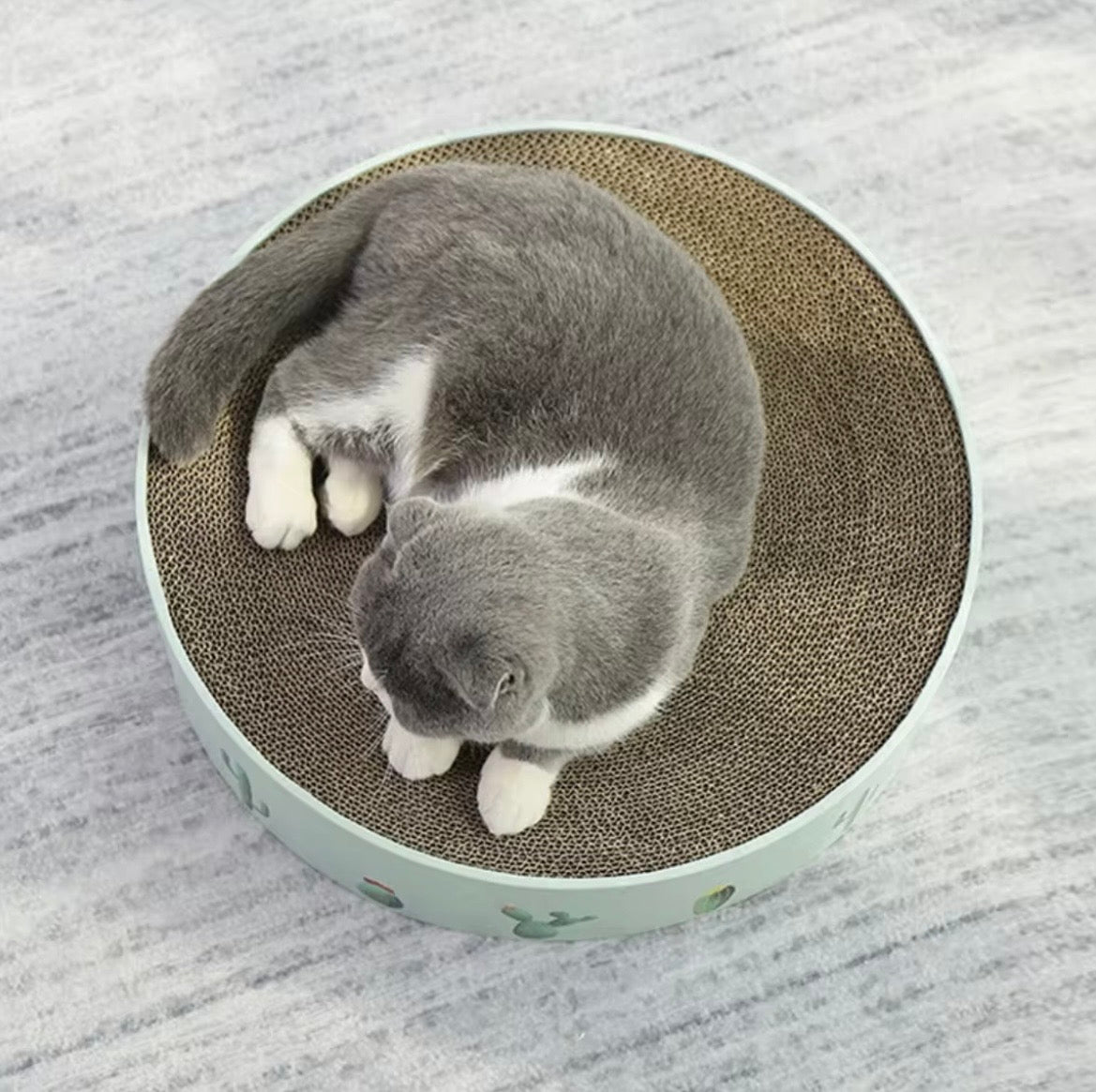 MIAOFAIRY cactus-patterned round cat scratcher bed
