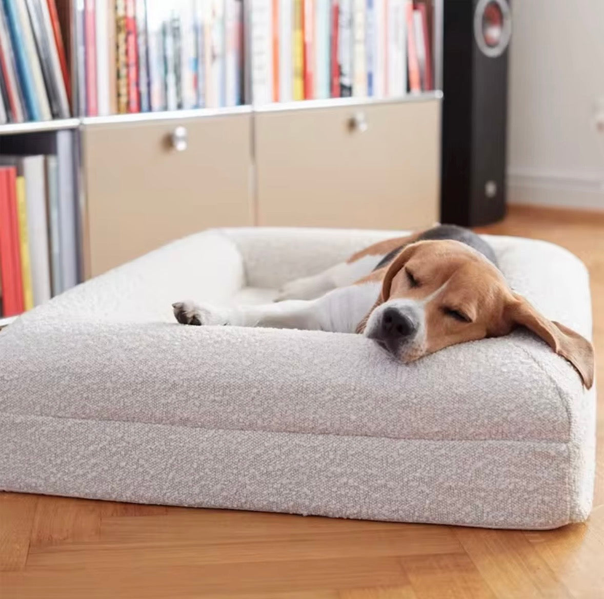 Dazy Dog orthopaedic dog bed featuring a machine-washable ivory bouclé cover.