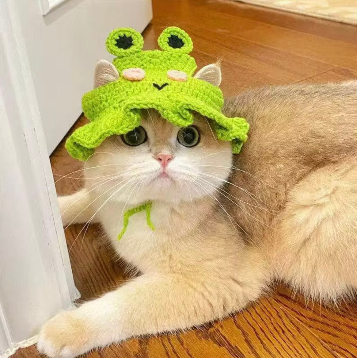 e handmade, colorful crochet bucket hats for cats, featuring distinct designs like a light pink hat with a white flower and a bright green hat styled as a frog.