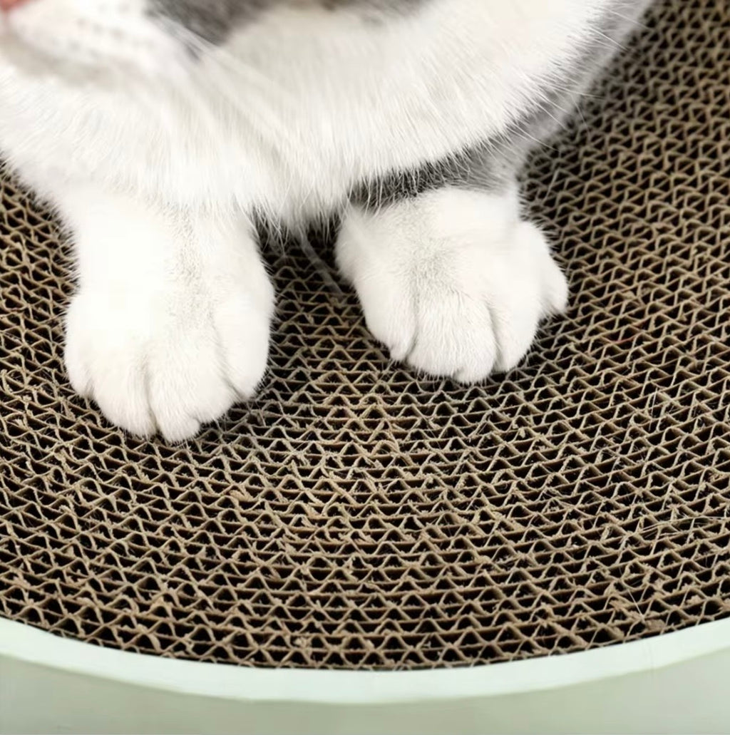 MIAOFAIRY cactus-patterned round cat scratcher bed