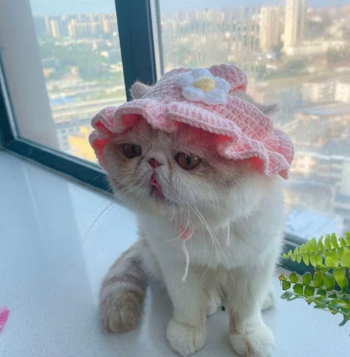 e handmade, colorful crochet bucket hats for cats, featuring distinct designs like a light pink hat with a white flower and a bright green hat styled as a frog.