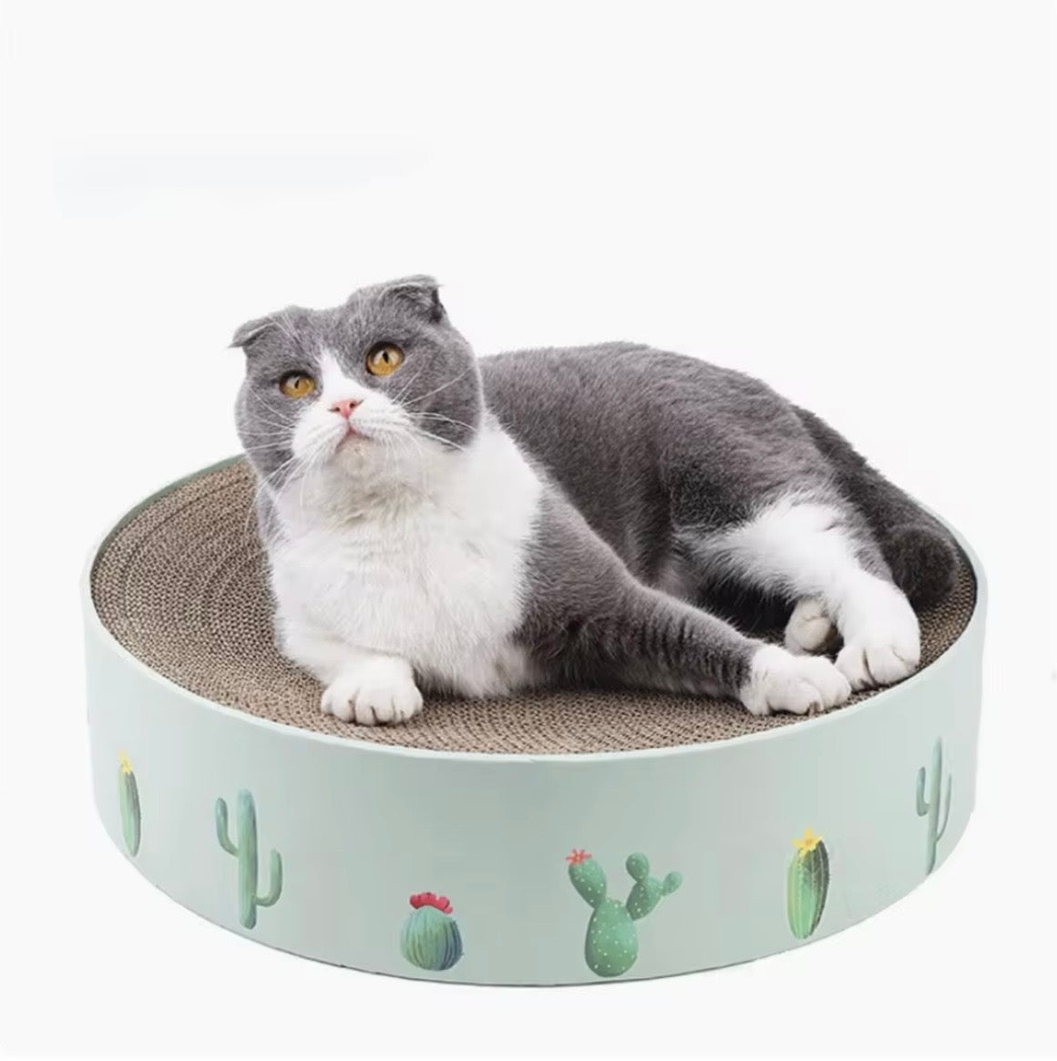 MIAOFAIRY cactus-patterned round cat scratcher bed