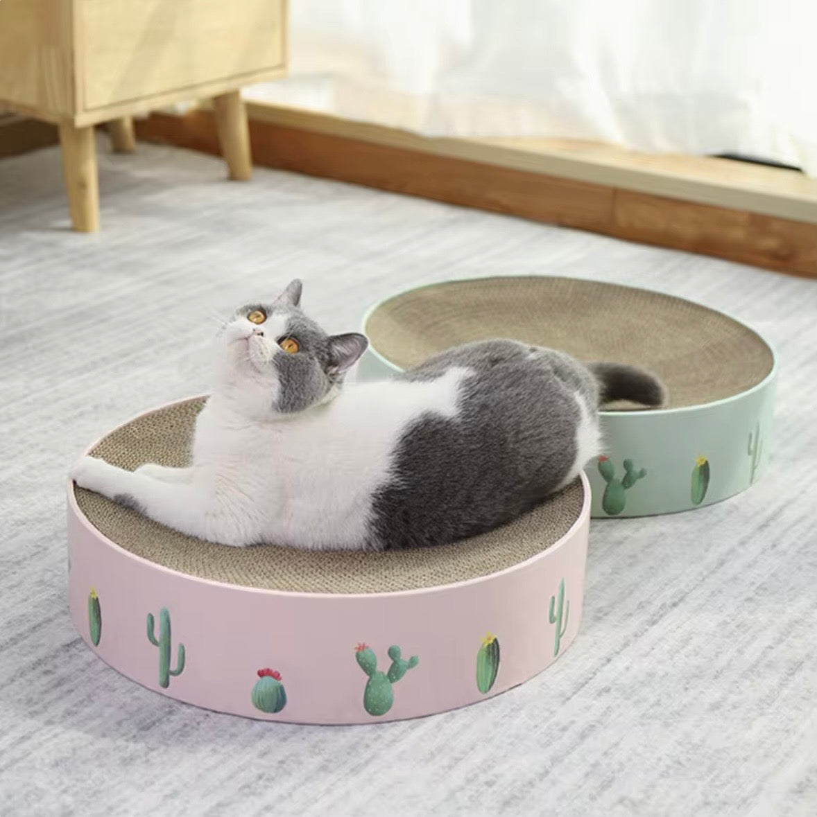 MIAOFAIRY cactus-patterned round cat scratcher bed