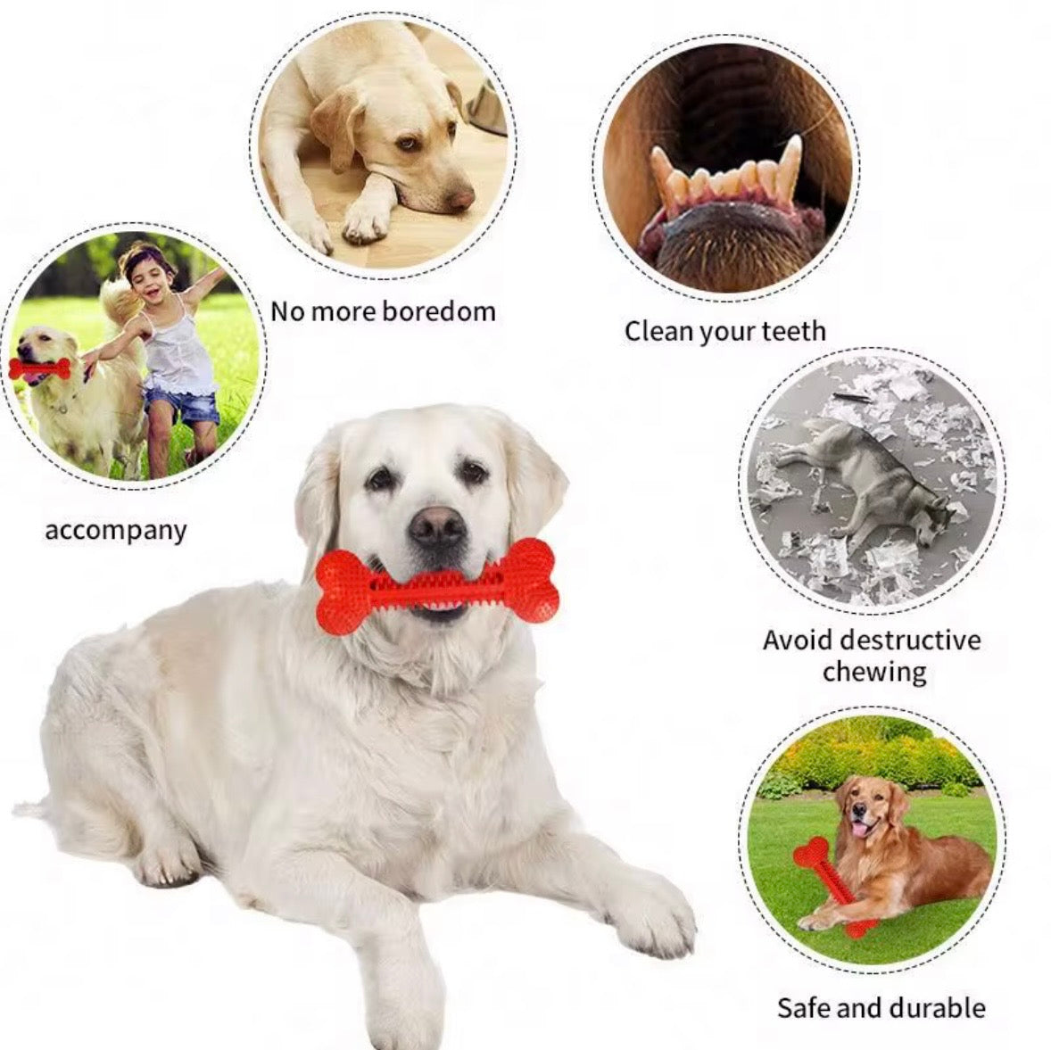 colorful textured natural rubber dog chew toy.