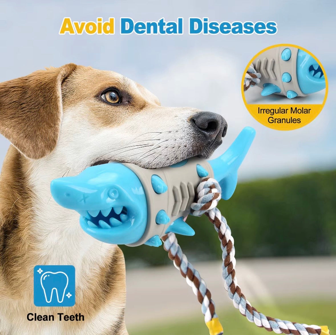 shark-shaped dog toy is designed to dispense treats and promote dental hygiene through chewing