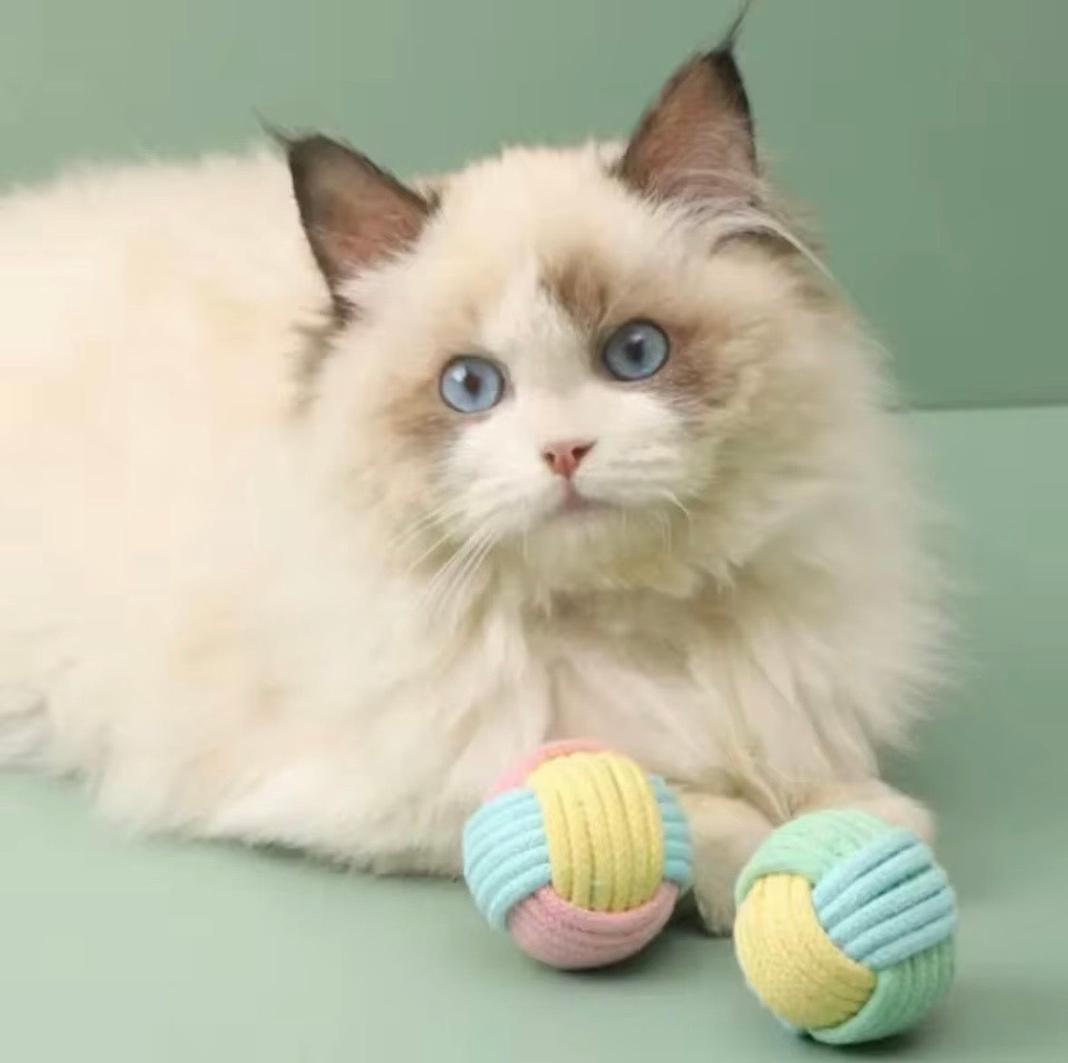 These are cotton rope cat toy balls featuring a macaron-inspired color palette.