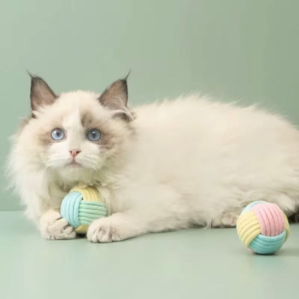 These are cotton rope cat toy balls featuring a macaron-inspired color palette.