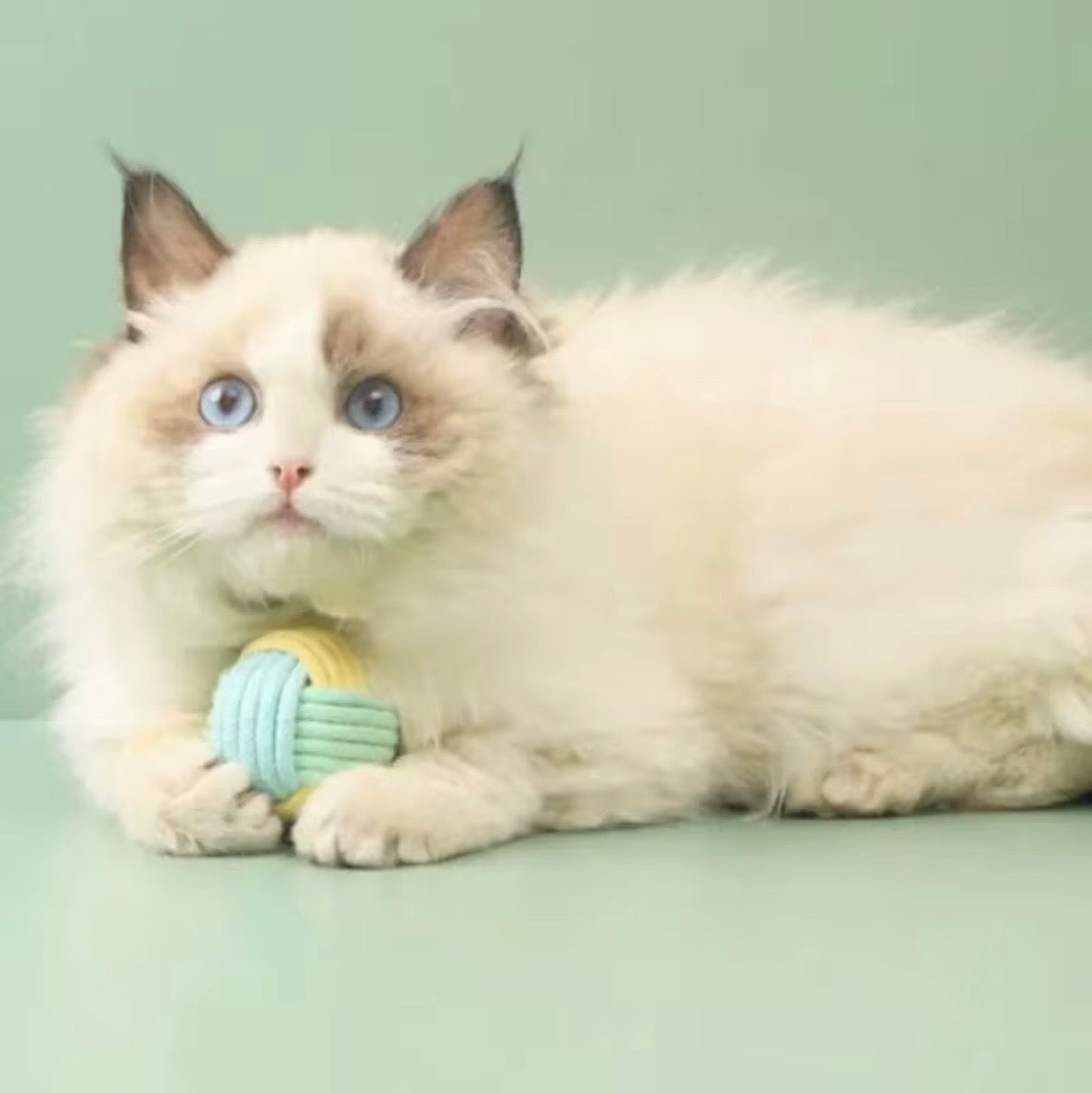 These are cotton rope cat toy balls featuring a macaron-inspired color palette.