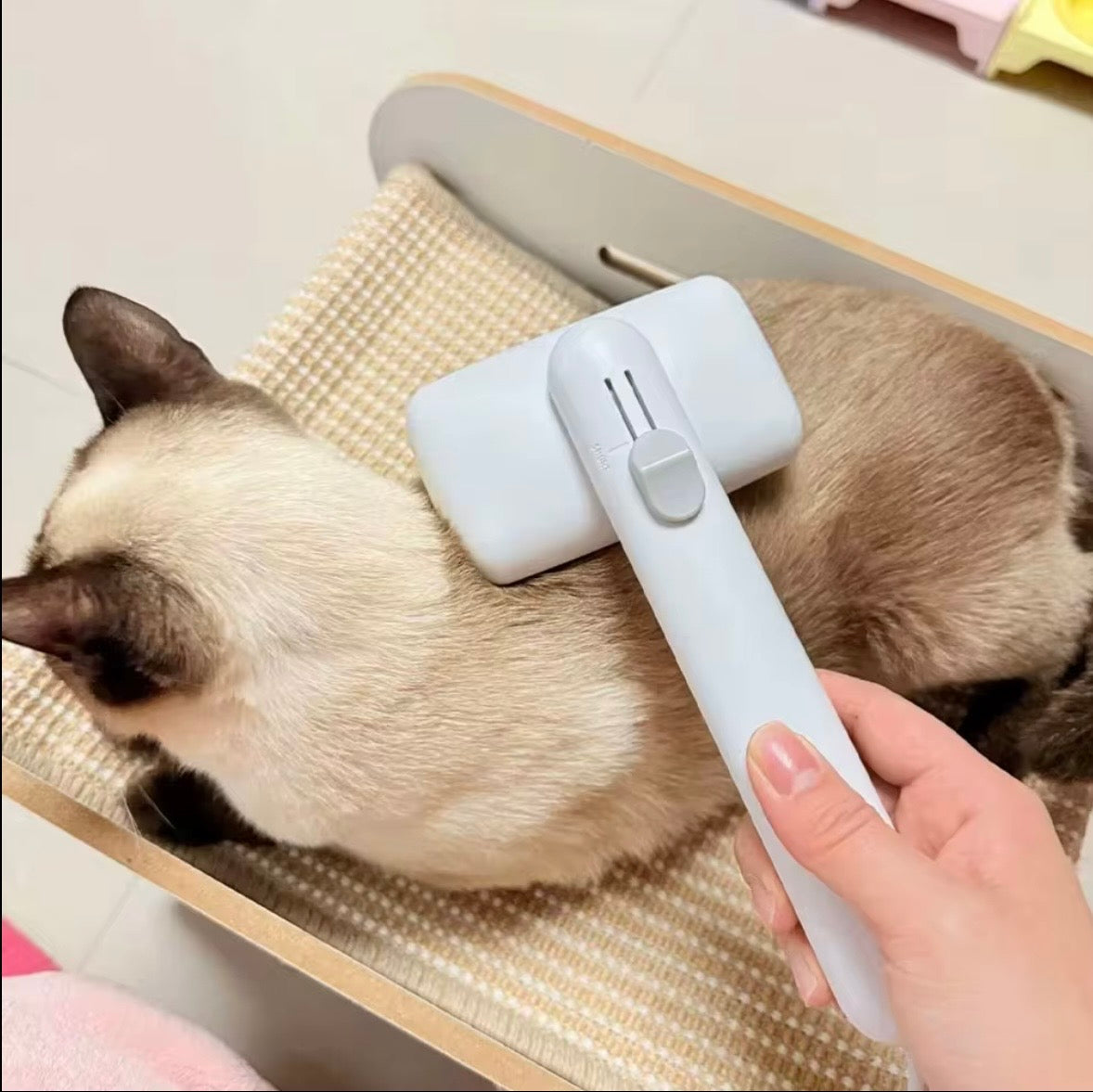 white PiddiPet Ion Brush for grooming cats and dogs.