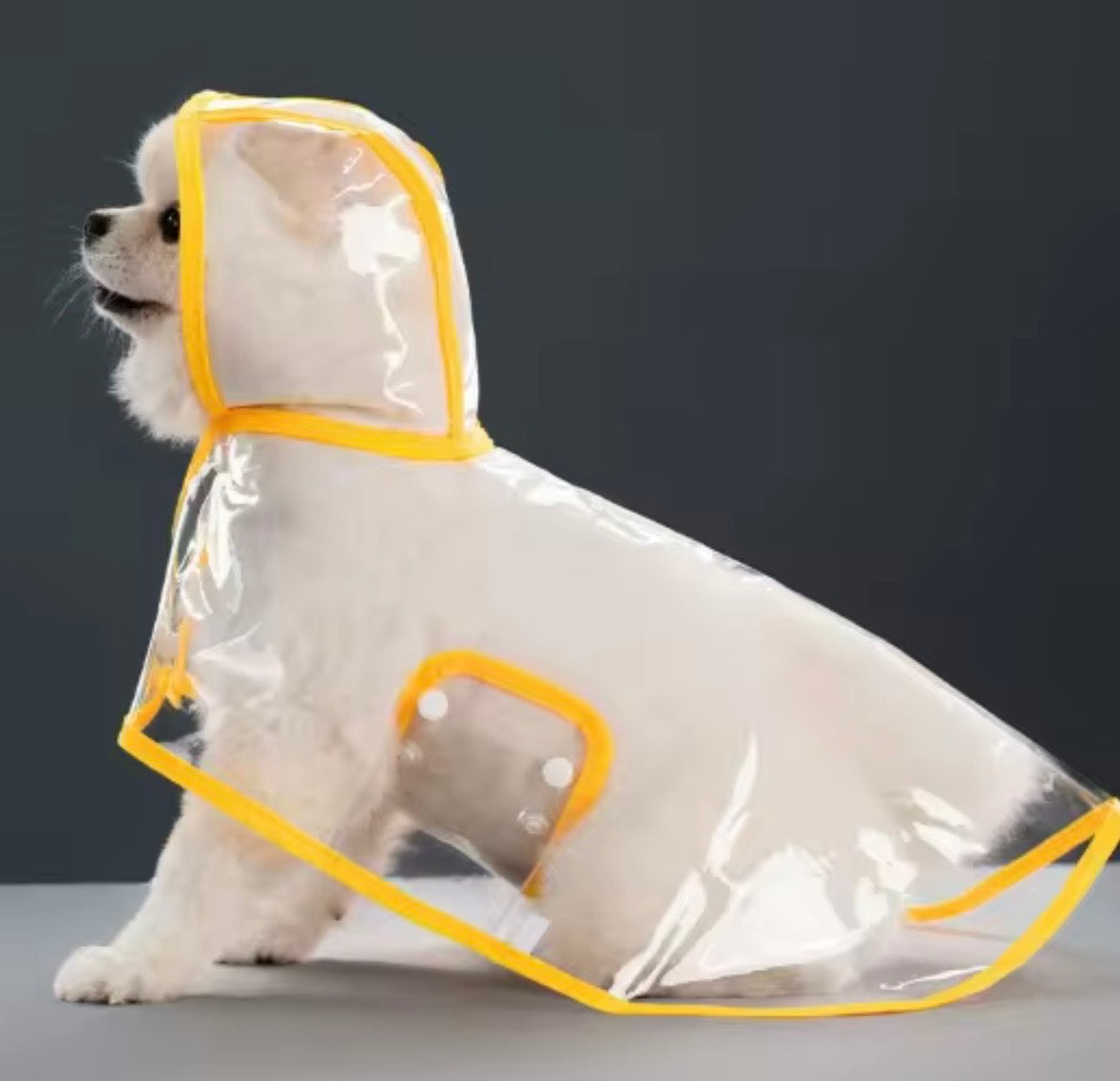 transparent dog raincoat with black trim and a hood.
