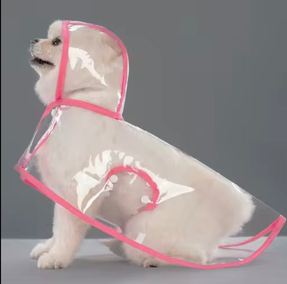 transparent dog raincoat with black trim and a hood.