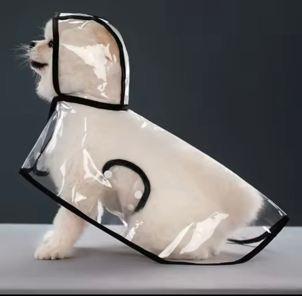 transparent dog raincoat with black trim and a hood.