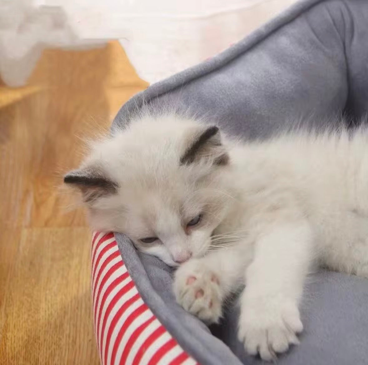 Happy Care Textiles stripe printing poly-cotton cozy round pet bed