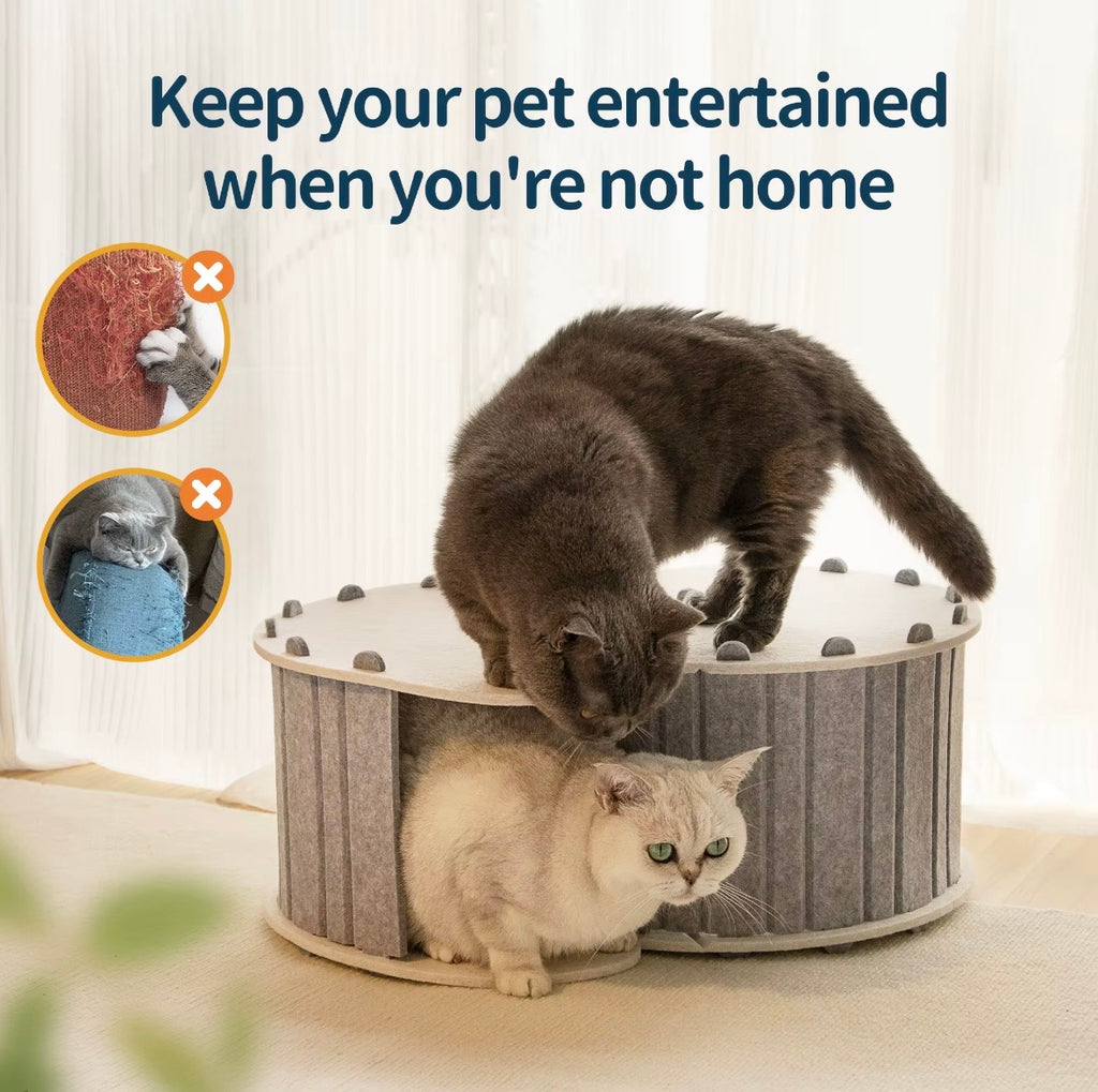 green felt cat tunnel bed featuring a detachable, two-layer design for playing and resting.