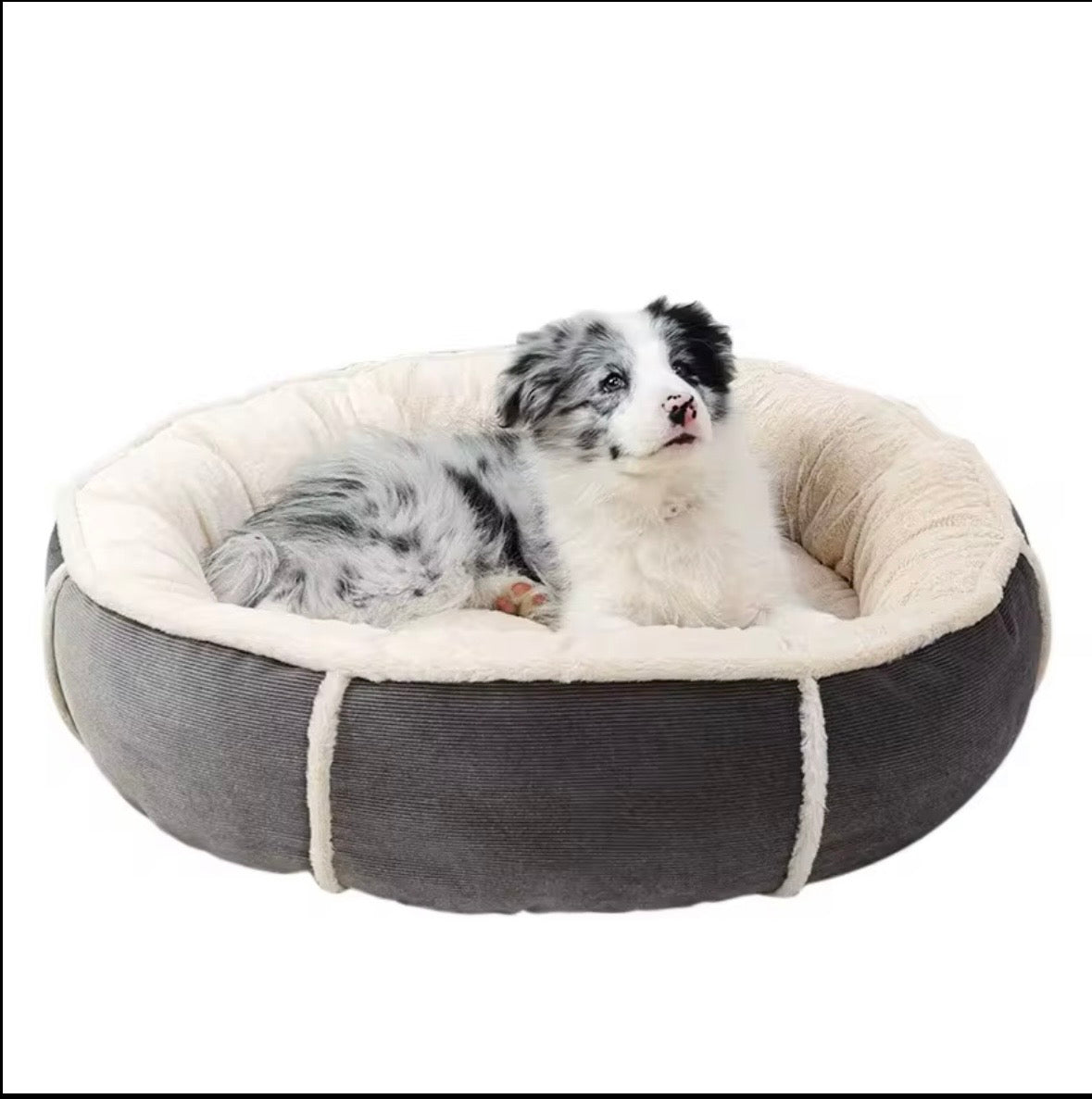round, bolstered pet bed featuring a dark grey corduroy exterior and a soft, cream-colored plush interior.