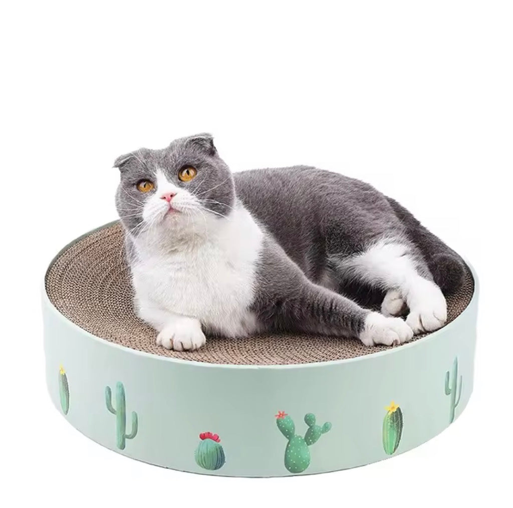 MIAOFAIRY cactus-patterned round cat scratcher bed