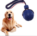 blue interactive dog toy featuring a textured ball on a red, white, and blue rope