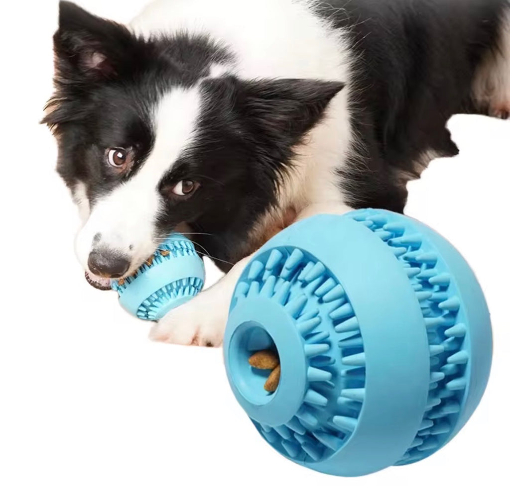 blue, interactive dog chew toy is designed for teething and dental health